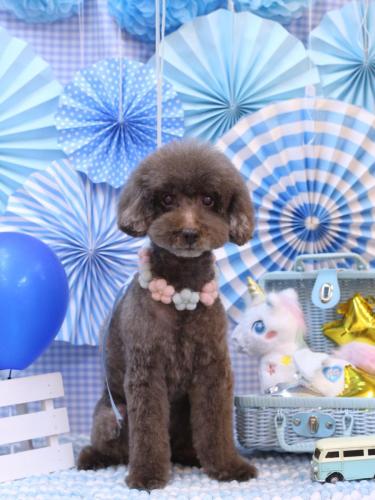 20231130きょうのちゃん